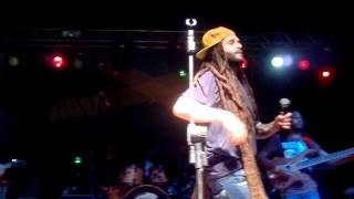 Alborosie  Herbalist Live In Belém [upl. by Ttevi]