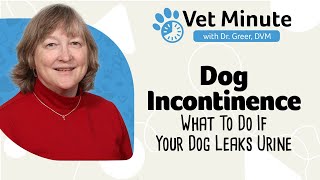 Vet Minute Dog Incontinence [upl. by Baxter]