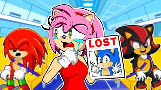 BaBy Sonic Where Are You Going  Sonics Family Story  Sonic the Hedgehog 2 Animation [upl. by Ranchod]