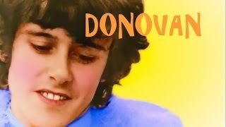 quotSunshine Supermanquot Lyrics ★ DONOVAN ★ 1966 [upl. by Hecht72]