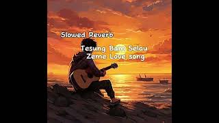 Tesung Bam Selau  Zeme Love Song   akube kaume and Julia nriame [upl. by Olfe857]