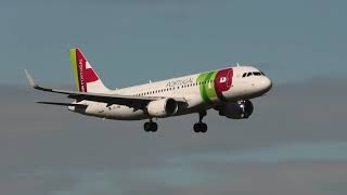 TAP Portugal Airbus A320 landing at Zurich Airport [upl. by Chafee]