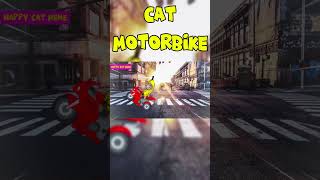 CAT MOTORBIKE FUNNY happycatmeme bananacat happycat [upl. by Arotak]