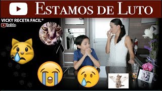 Estamos de Luto 💔😢😩😭 [upl. by Monreal955]