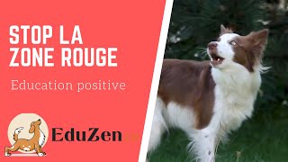 BLOG amp ETHO Apprends à écouter lémotionnel de ton chien 🟢 🟠 🔴 [upl. by Hallagan594]