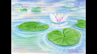 Drawing Lily Pads [upl. by Landsman986]