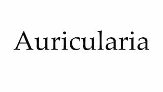 How to Pronounce Auricularia [upl. by Devland634]