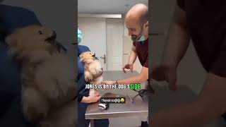 Pawsitively Funny Vet Visit vet dog shorts funny [upl. by Mendes]