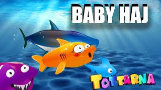 Bebis haj  Baby shark på svenska tecknade barnlåtar och sånger Bäbis HAJ baby haj [upl. by Okire]