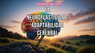 La Neuroplasticidad adaptabilidad cerebral [upl. by Norrehs982]