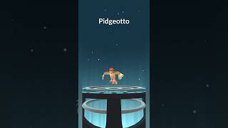 Evolve Pidgey To Pidgeotto pokemon pokemongo [upl. by Llednor]