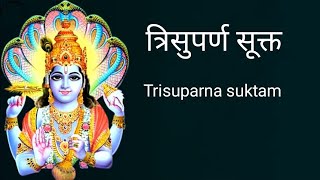 त्रिसुपर्ण Trisuparna भाग १ [upl. by Canute]