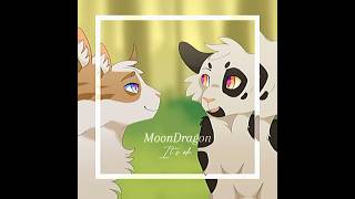 Swiftpaw editwarriorcats fypシ edit swiftpaw [upl. by Fenny]