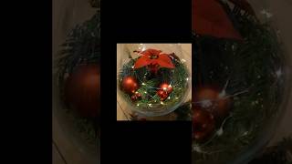 Weihnachtsstern dekorieren im Glas 🌺 Poinsettia flower decoration 🌺 [upl. by Vitoria]