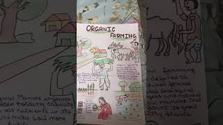 pamphlet of organic farming pamphlet making [upl. by Adnahcal]