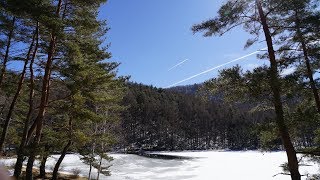 2019 長野 御射鹿池 雪景色 [upl. by Flagler]