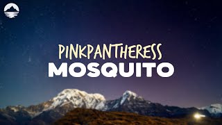 PinkPantheress  Mosquito  Lyrics [upl. by Letnwahs783]