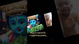 Thulasikathir nulliyeduthu  തുളസിക്കതിർ നുള്ളിയെടുത്തു [upl. by Weidar]