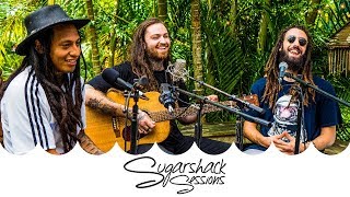 Iya Terra  Give Thanks Live Music  Sugarshack Sessions [upl. by Ihdin]