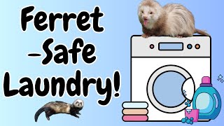 Your FERRETS will LOVE this ZERO Fragrance Laundry Liquid [upl. by Agneta]