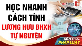 Đóng BHXH Tự Nguyện Hưởng Lương Hưu Thế Nào  LuatVietnam [upl. by Ynnus293]