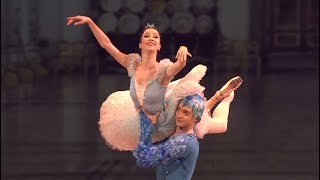 Shakirova amp Timofeyev  Bluebird Pas De Deux 2017 [upl. by Nitneuq]