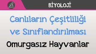 Canlılar Dünyası  Omurgasız Hayvanlar [upl. by Hsirrehc754]