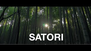 SATORI  shakuhachi amp grand concert monochord meditation  cinematic video 4K [upl. by Crofton]