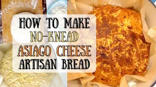 How to Make Artisan Asiago Cheese Bread NoKneading amp Only 6 Ingredients [upl. by Trovillion804]