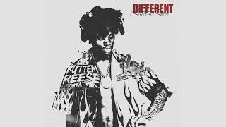 Kuttem Reese  Different Clean [upl. by Malinowski]