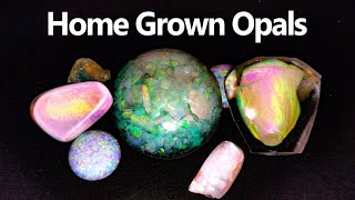 Can you GROW an Opal [upl. by Holihs]