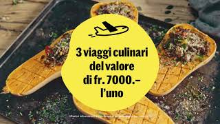 Concorso sulla zucca  Spot Migusto [upl. by Given332]