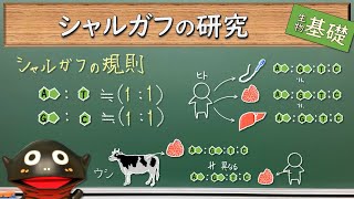 DNAの構造の解明１（シャルガフの規則）【47生物基礎】新課程対応 [upl. by Anomis318]