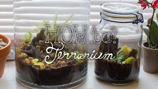 Make a Closed Tropical Terrarium  How To Terrarium ep2 [upl. by Agace]