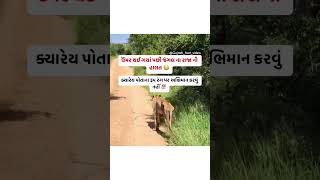 ઉંમર થઈ ગયા પછી જંગલ ના રાજા ની હાલત😳 shortsfeed knowledge [upl. by Benjy89]