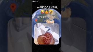 I Found Wallking brain on Google maps😨youtubevideo googleearth [upl. by Nnyltiak653]