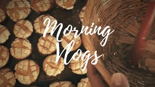 Morning Vlogs EP2  Las famosas Manteconchas [upl. by Quarta]