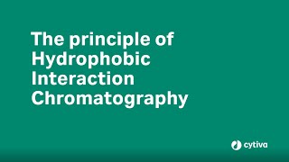 Principles of Hydrophobic Interaction Chromatography [upl. by Minne]