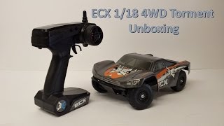 RC Unboxing ECX Torment 118 Scale Indepth [upl. by Kirsten]