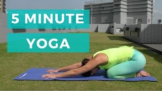 5 minute yoga  Beginners yoga [upl. by Llerrud]