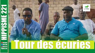 TOUR DES ECURIES CHEZ PAPE MATAR BA [upl. by Tterb]