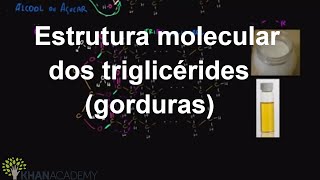 Estrutura molecular dos triglicérides gorduras  Macromoléculas  Biologia  Khan Academy [upl. by Anaizit]