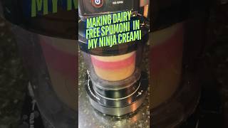 How to Make DairyFree Spumoni with White Chocolate 🍨  Ninja Creami [upl. by Hollyanne549]