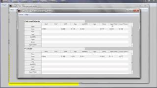 Conduct a Moderating Effects Analysis in WarpPLS [upl. by Dviad]