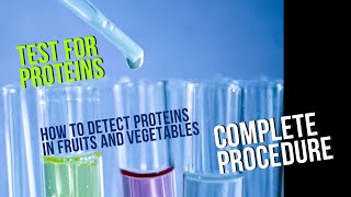 Test for ProteinsNinhydrin test Qualitative phytochemical screening  part 4 [upl. by Notsnhoj691]