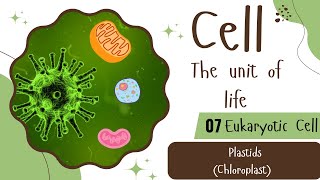 Plastid  Cell  the unit of life 07  Class 11th  Biology  NEET [upl. by Yevol24]