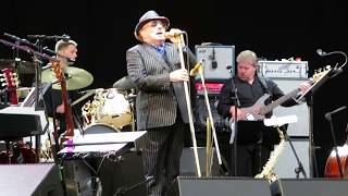 Van Morrison  Wild Night  live in Gothenburg 20180716 at Trädgårdsföreningen [upl. by Gnuhp]