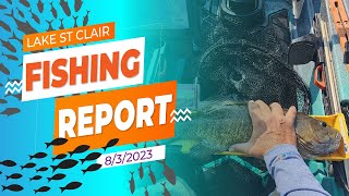 Lake St Clair Fishing Report 832023 [upl. by Peter]