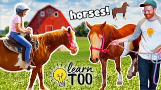 Horseback Riding 🐎  Learn About Horses for Kids  Ride Horses on the Farm  Educational for Kids [upl. by Haraf]