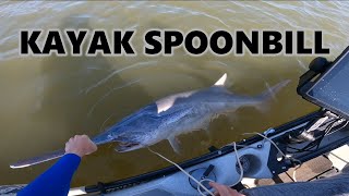 SNAGGING FROM A KAYAK  Lake of The Ozarks Spoonbill Snagging [upl. by Cassey]